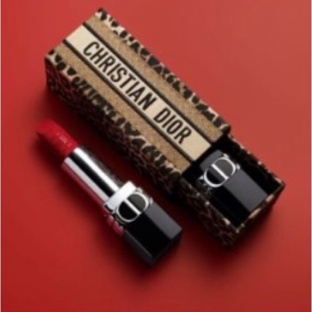 Dior Limited Edition Lipstick Case and Pouch